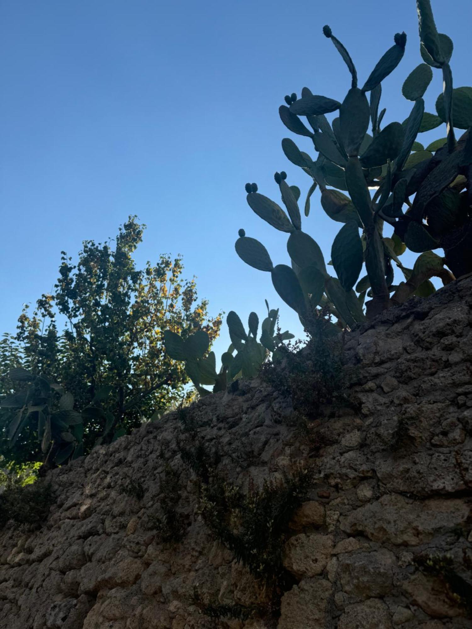La Rosa Blu Frühstückspension Gerace