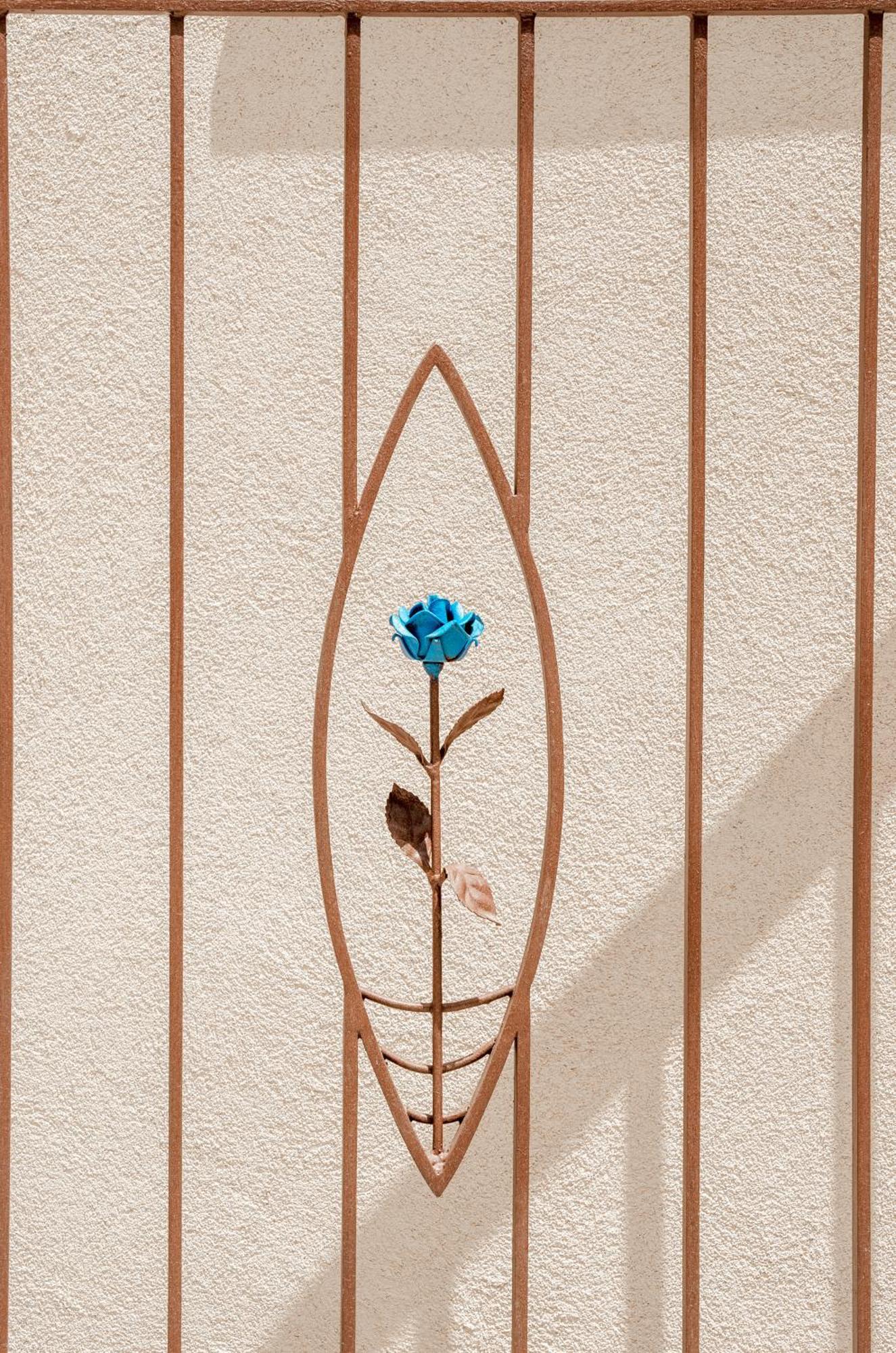 La Rosa Blu * Gerace